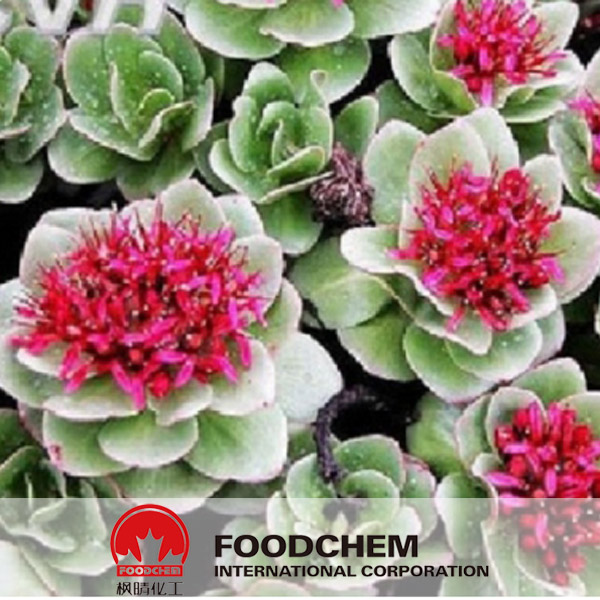 Rhodiola Rosea Extract